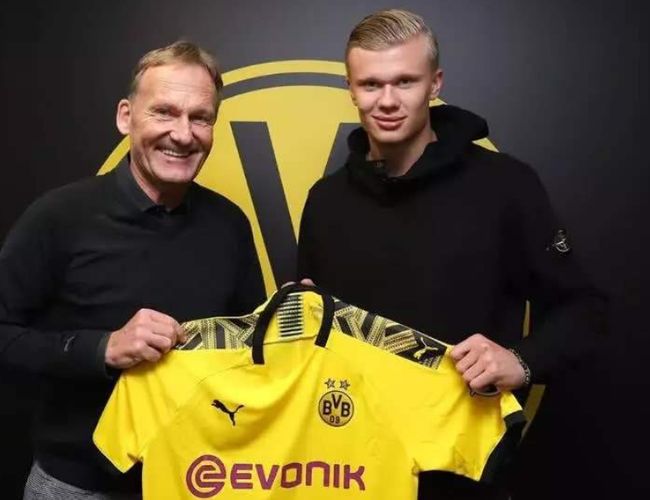 在不牺牲浓 在不牺牲浓